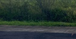 13 Perches Residential Land – Moka