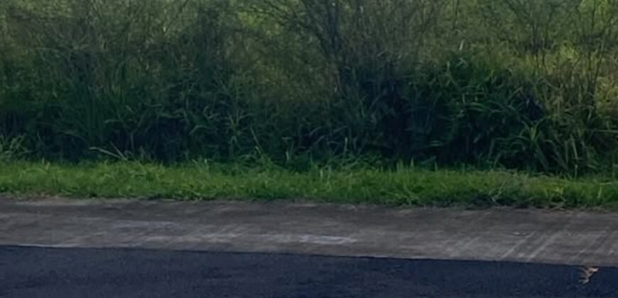13 Perches Residential Land – Moka