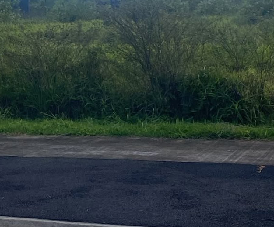 13 Perches Residential Land – Moka